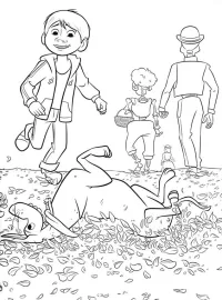 Coco/coco-13.jpg
