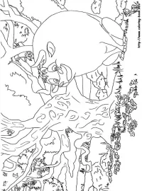 Ferdinand/the-cork-tree.jpg