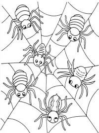 Halloween/halloween-102.jpg