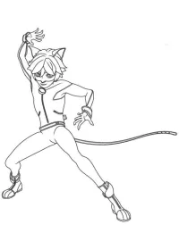Miraculous-Ladybug/cat-noir-2.jpg