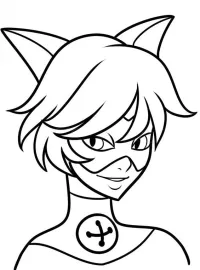 Miraculous-Ladybug/cat-noir.jpg